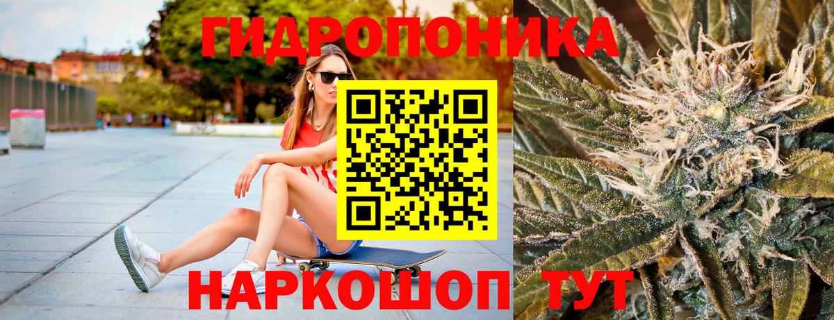 МАРИХУАНА план  Вход с VPN  Холмск  Канабис Amnesia 